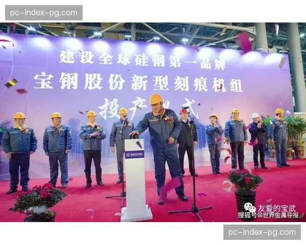 柏林奥林匹克体育场草皮全面翻新,计划采用新型耐热混播技术